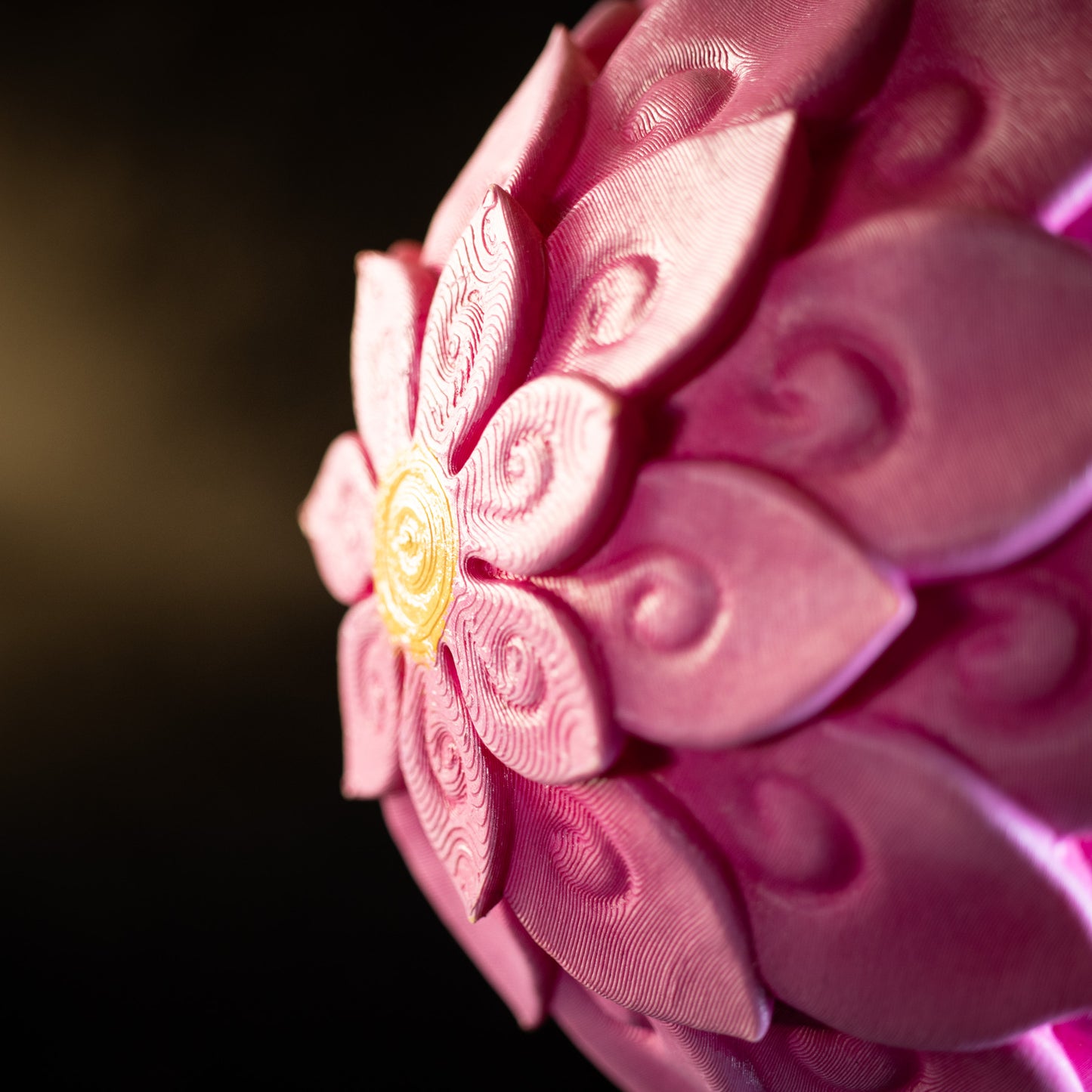 One Piece - Devil Fruit