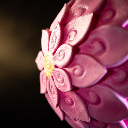 One Piece - Devil Fruit